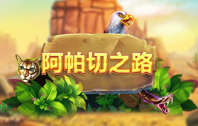 加拿大28预测大神100%